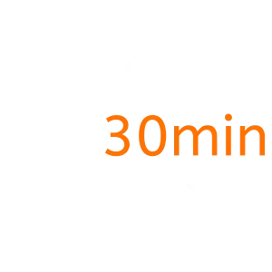 Quick Consult – 30 Minutes