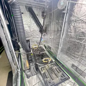 300X150